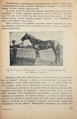 Вачнадзе Ф.А. Заездка, тренировка и испытание верховой лошади / С предисл. проф. П.Н. Кулешова; фот. Н.А. Алексеева. Тифлис: Гос. изд-во ССР Грузии; Сельколхозсектор, 1934.